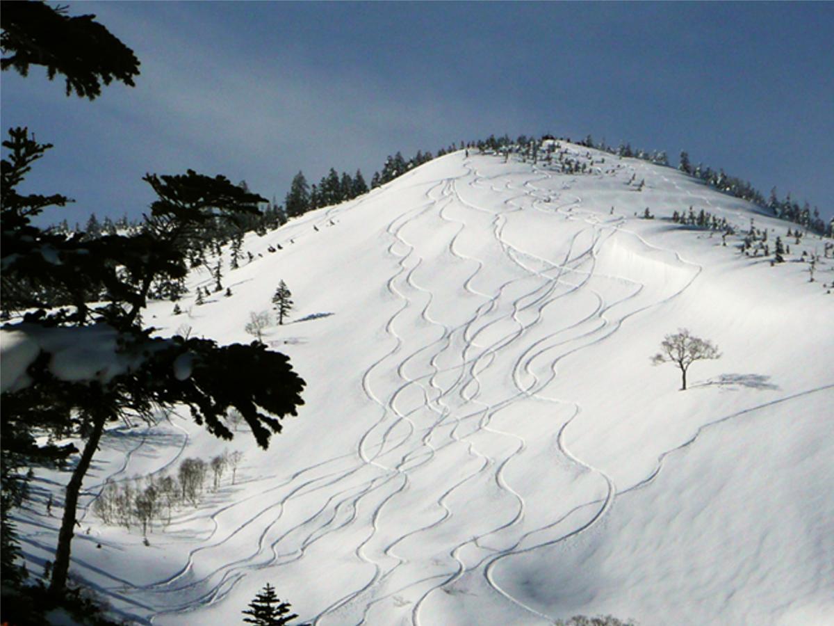 Kagura White Horse Inn Yuzawa  Extérieur photo